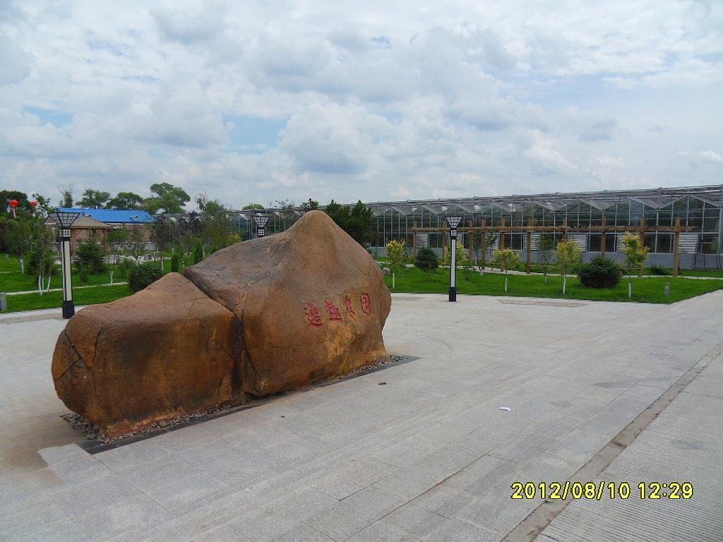 SDC11148.jpg