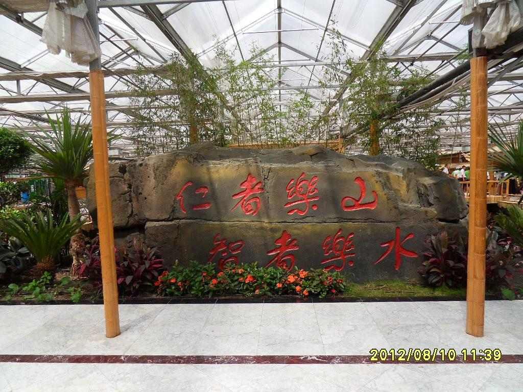 SDC11137.jpg