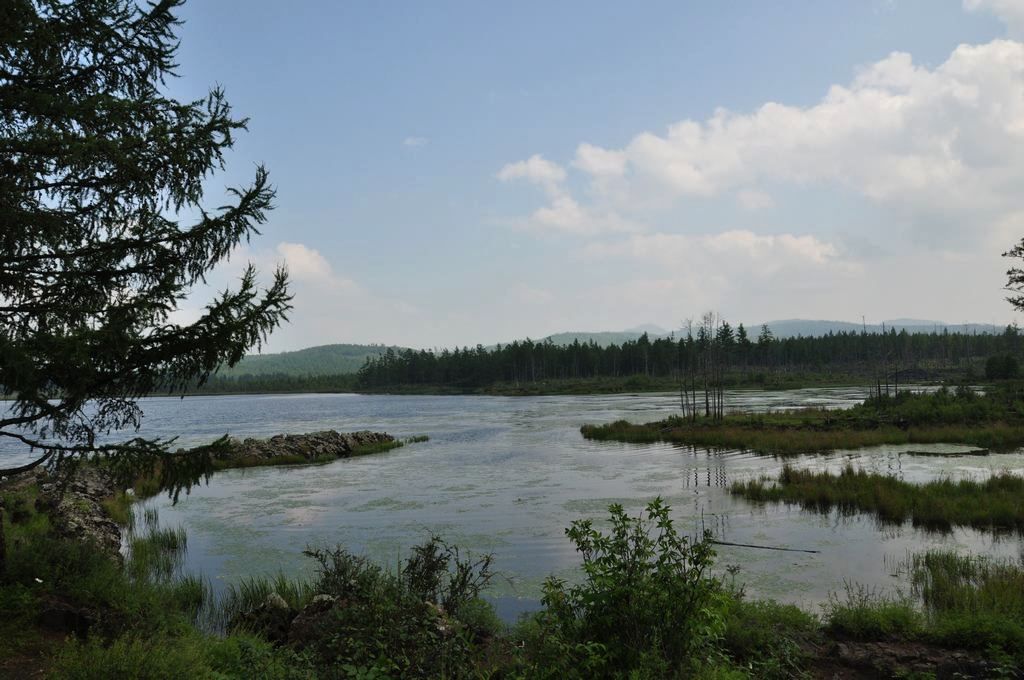 DSC_0743.jpg