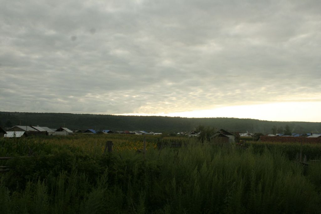 103.jpg