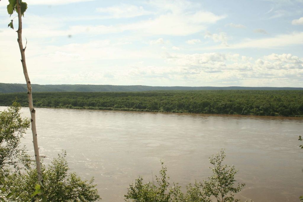 121.jpg