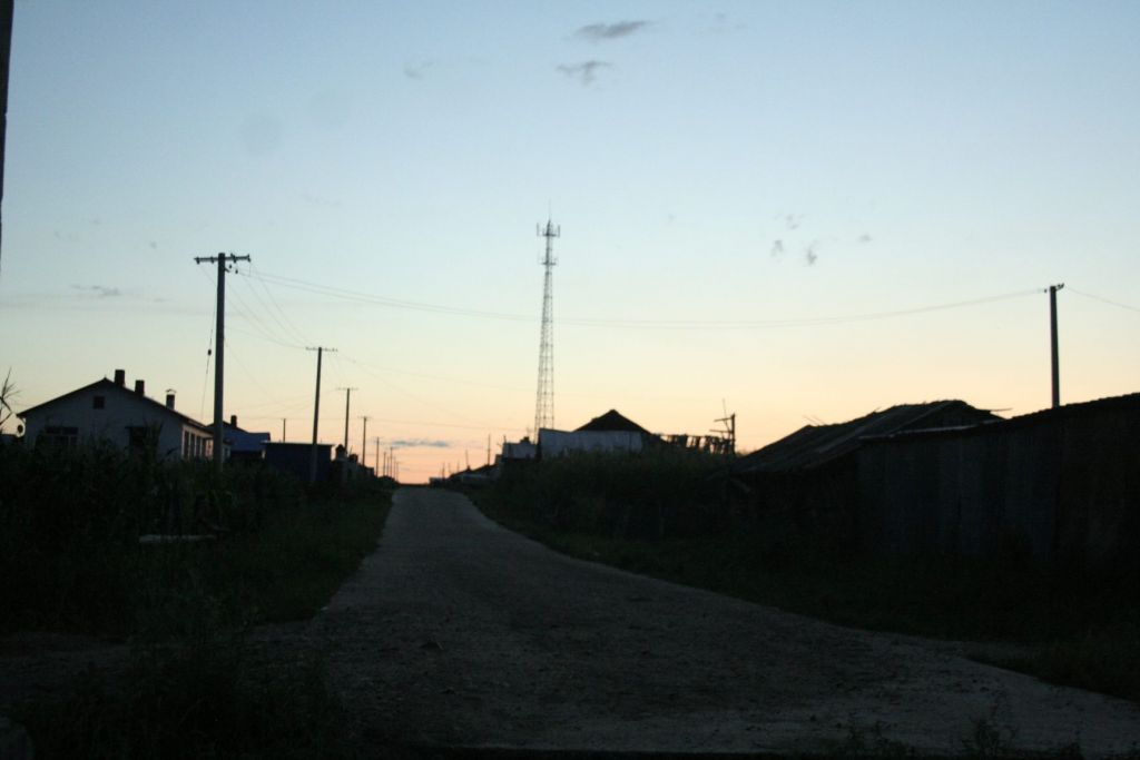 139.jpg