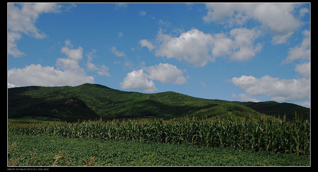 DSC_0680.jpg