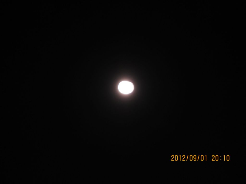 IMG_4460.jpg