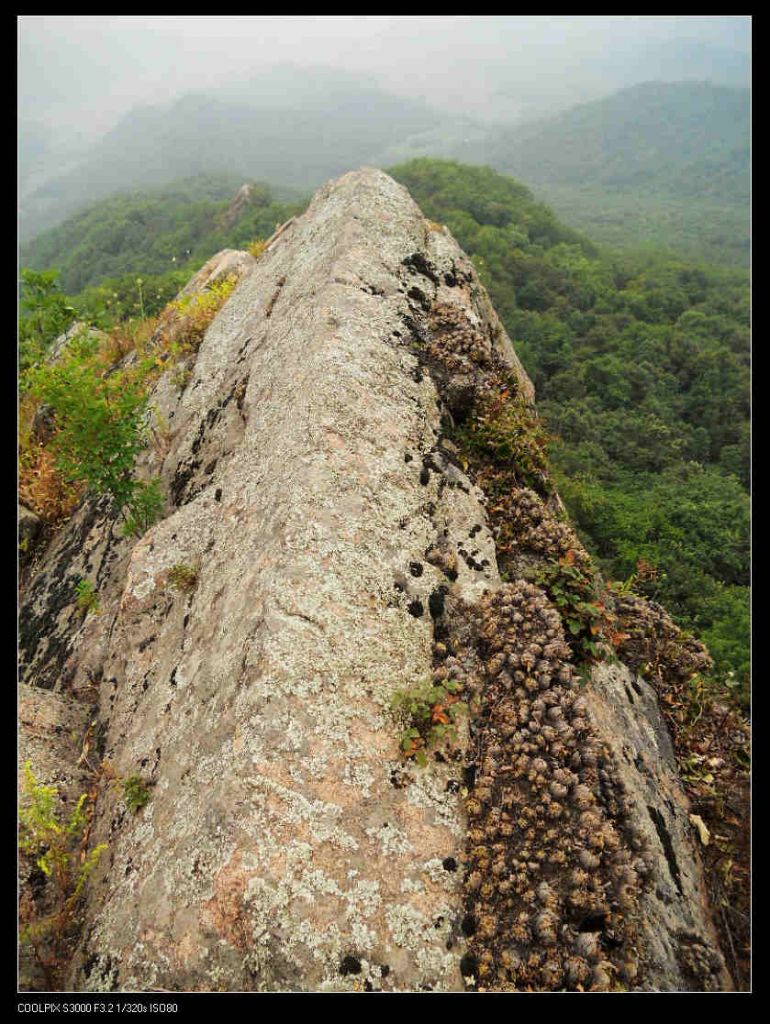 nEO_IMG_ƽ��ɽ 051.jpg