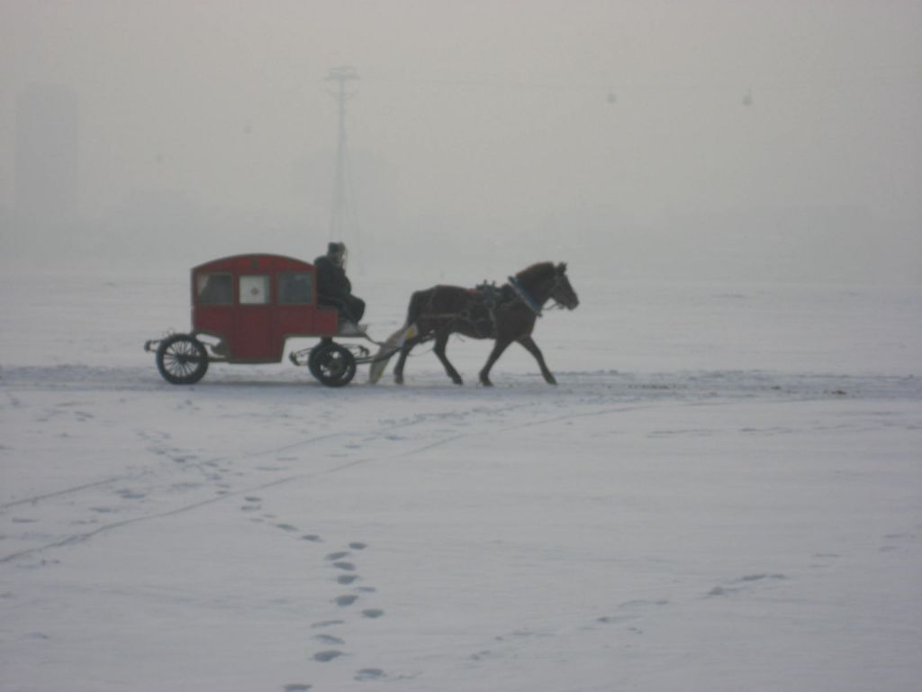 IMG_5968.JPG