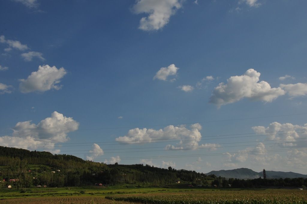 DSC_0328.jpg