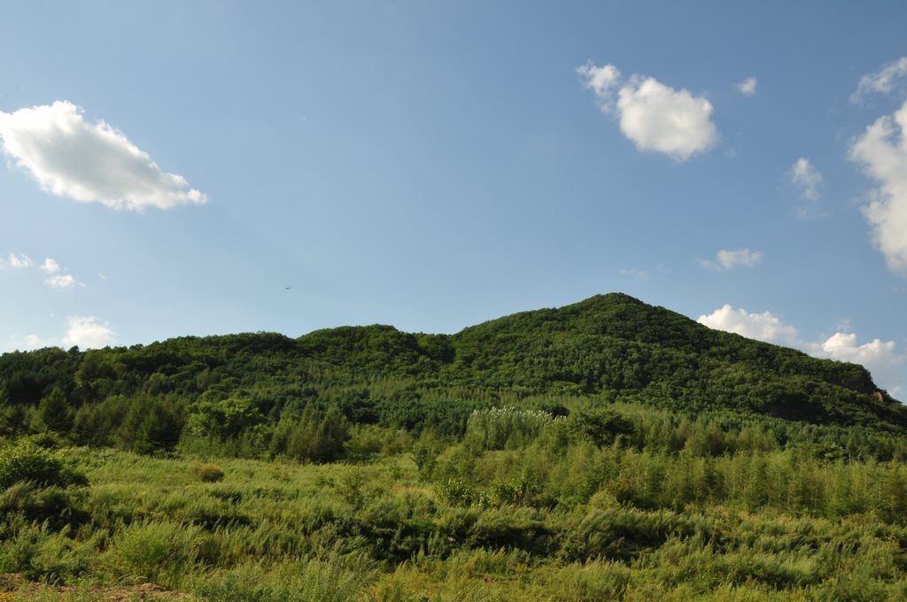 DSC_0336.jpg