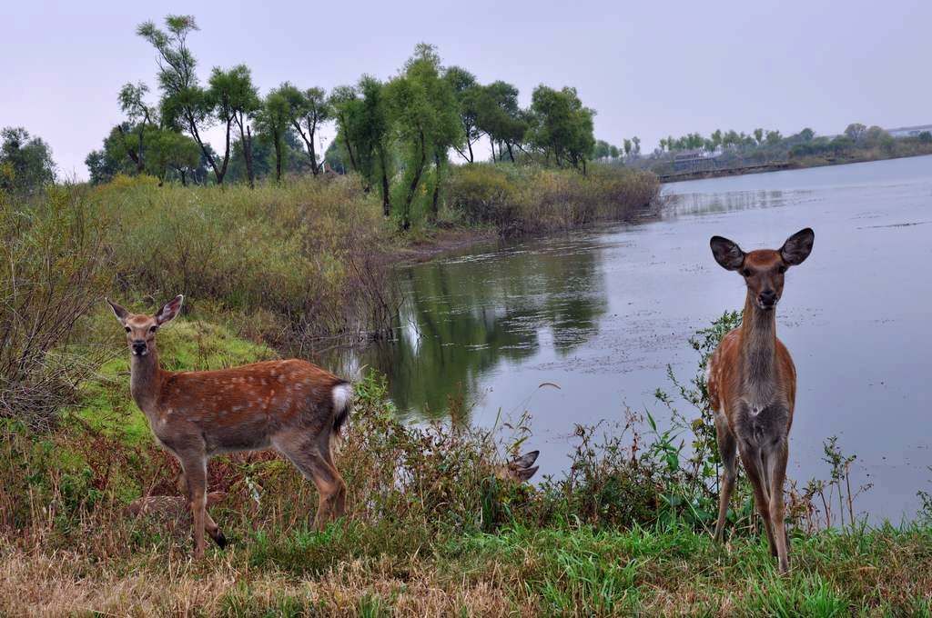 DSC_0029.jpg