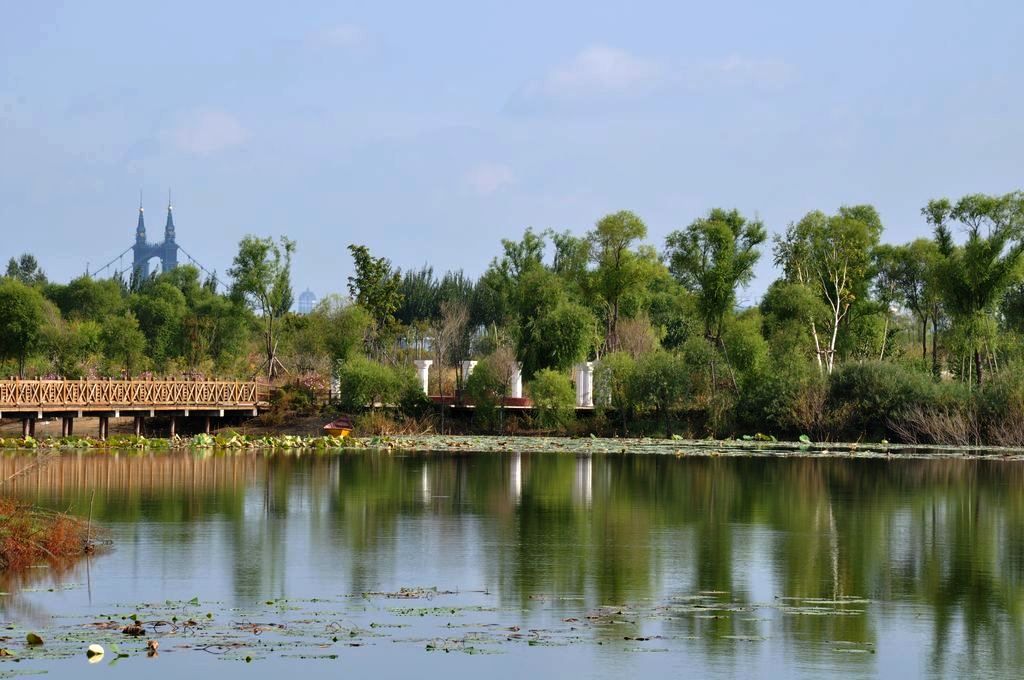 DSC_0203.jpg
