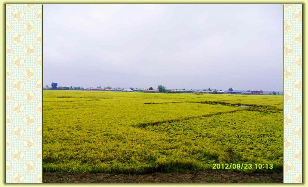 SDC11770.jpg