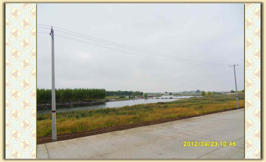 SDC11813.jpg