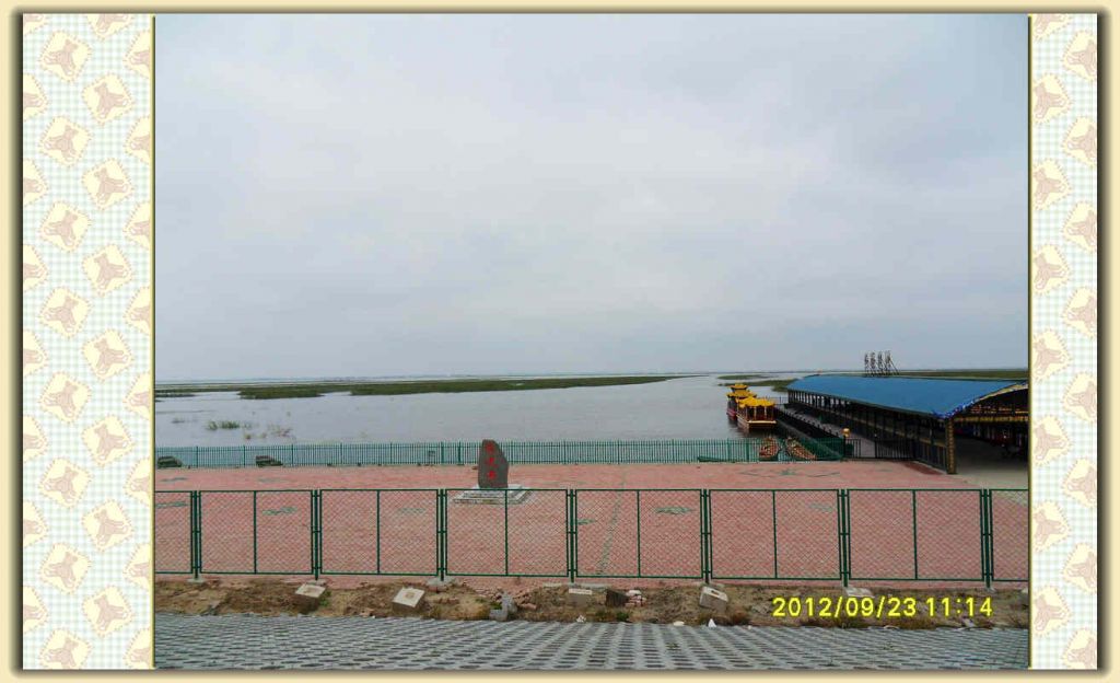 SDC11828.jpg