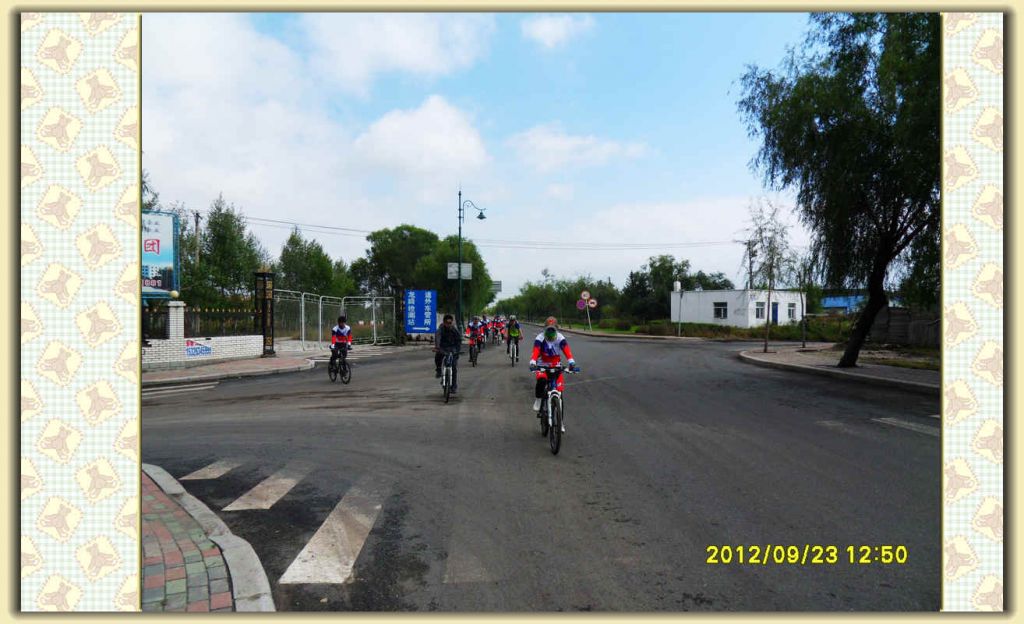 SDC11869.jpg