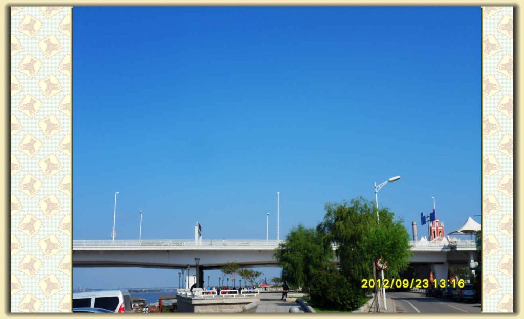 SDC11882.jpg