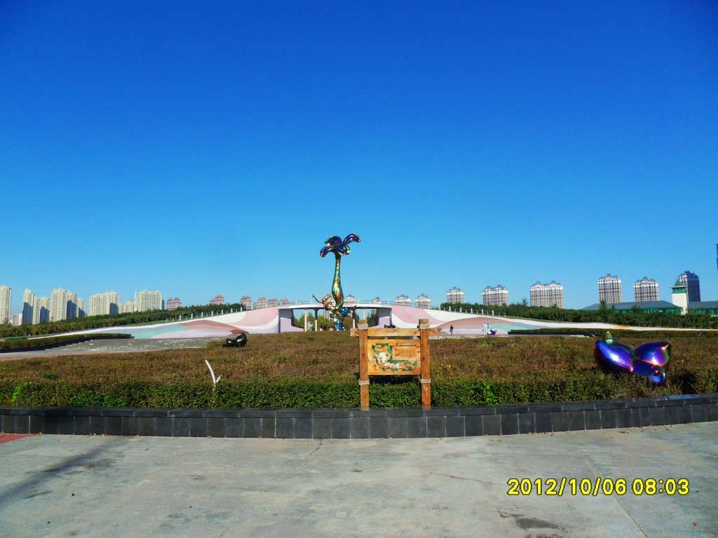 SDC12540.jpg