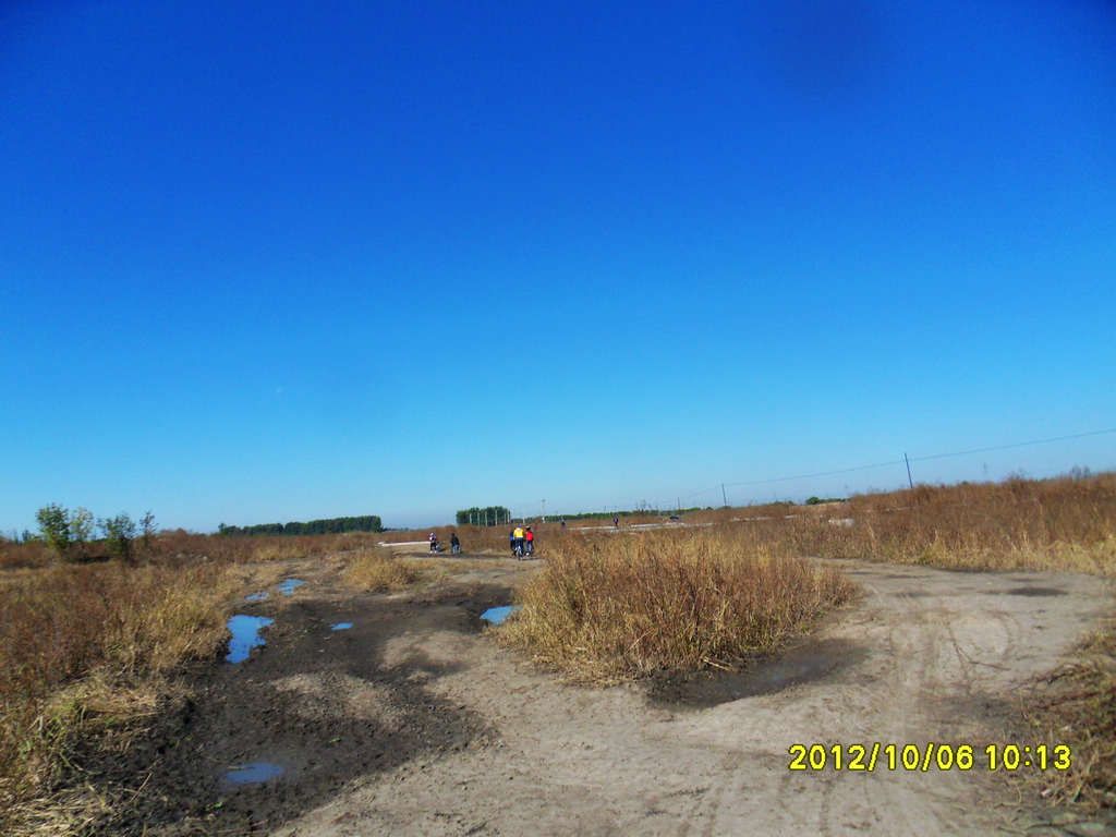 SDC12585.jpg