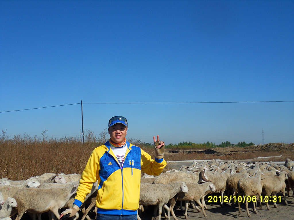 SDC12645.jpg