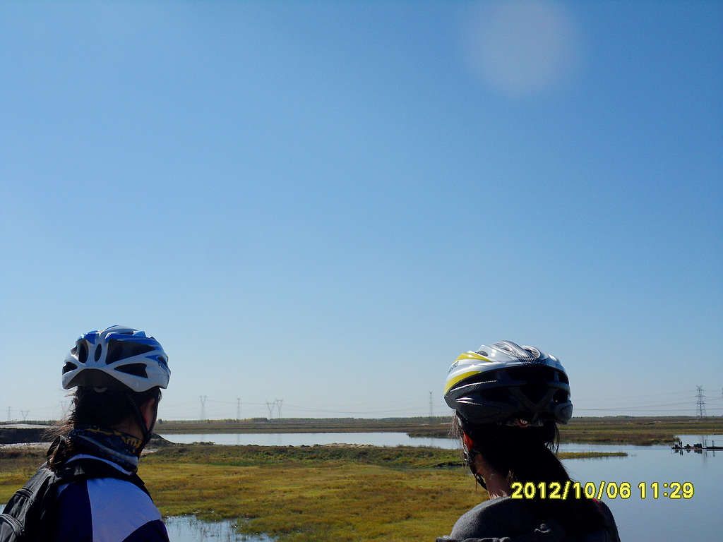 SDC12700.jpg