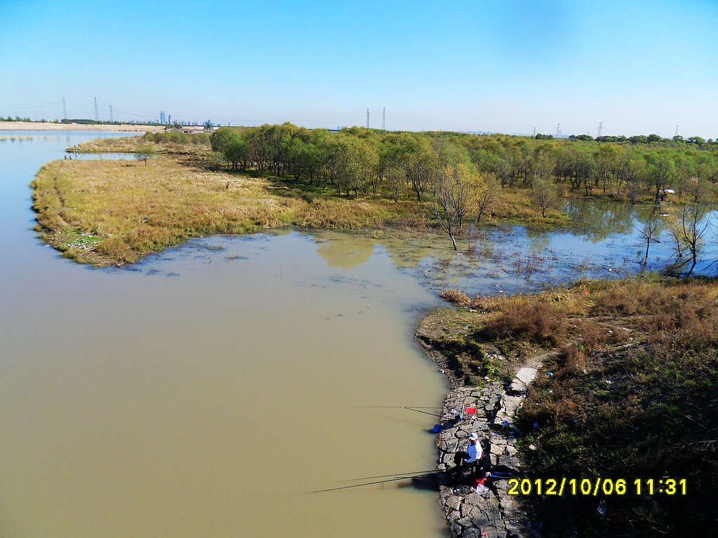SDC12709.jpg