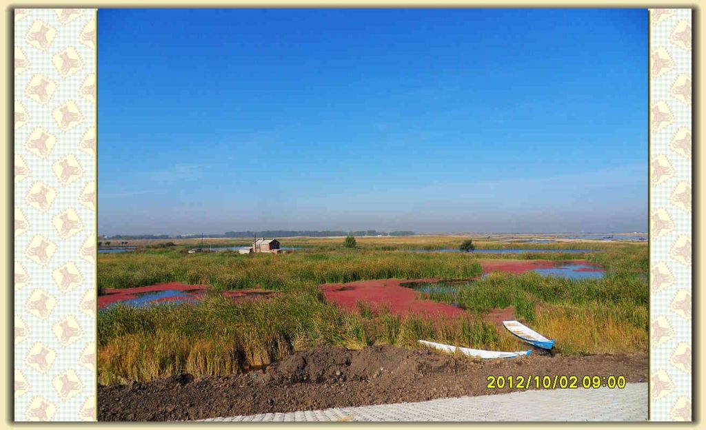 SDC12158.jpg
