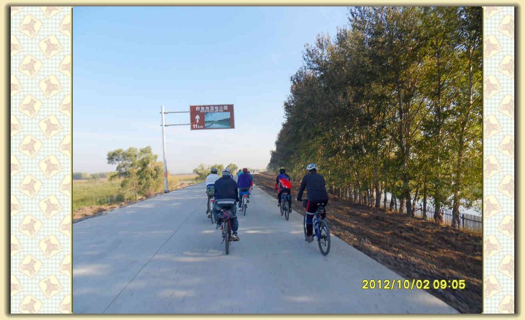 SDC12177.jpg