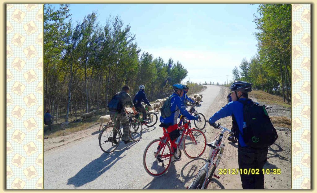 SDC12263.jpg