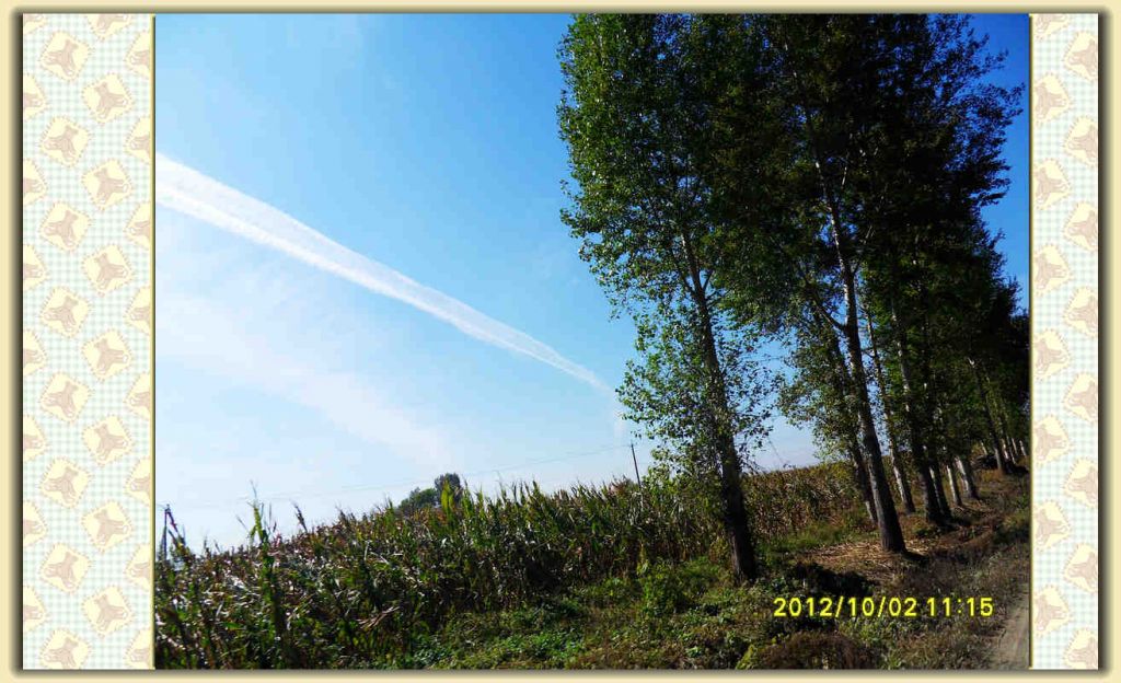 SDC12288.jpg