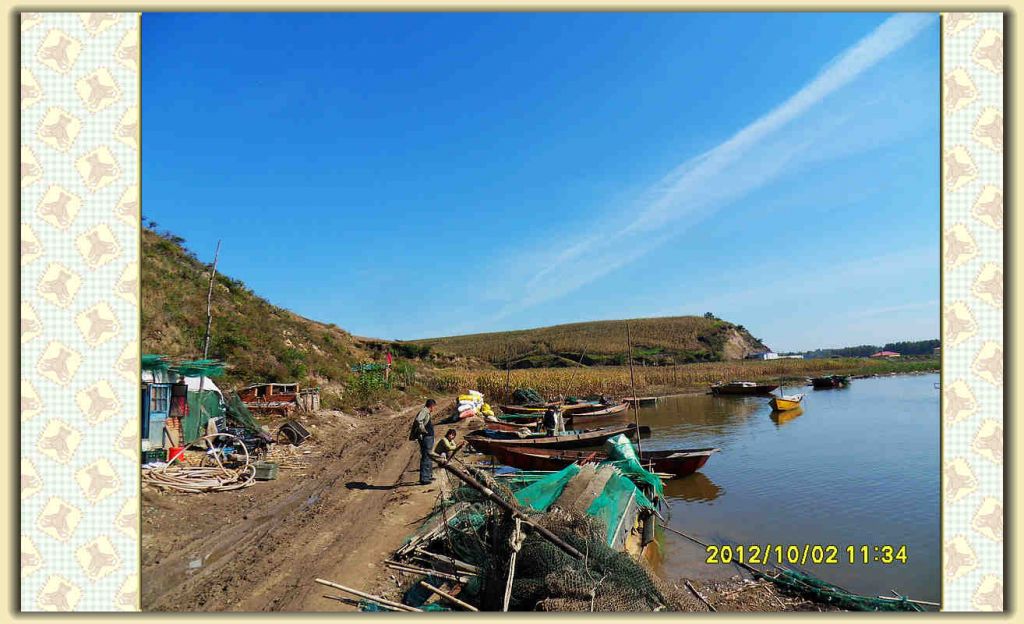SDC12312.jpg