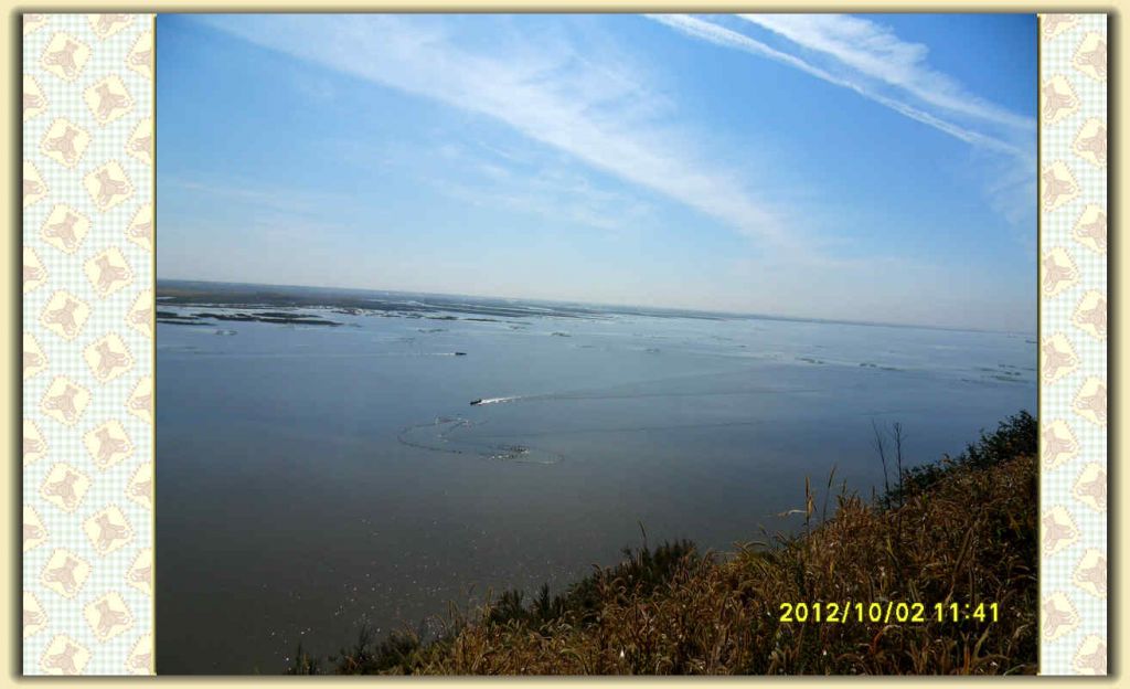 SDC12327.jpg