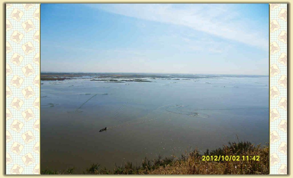SDC12333.jpg