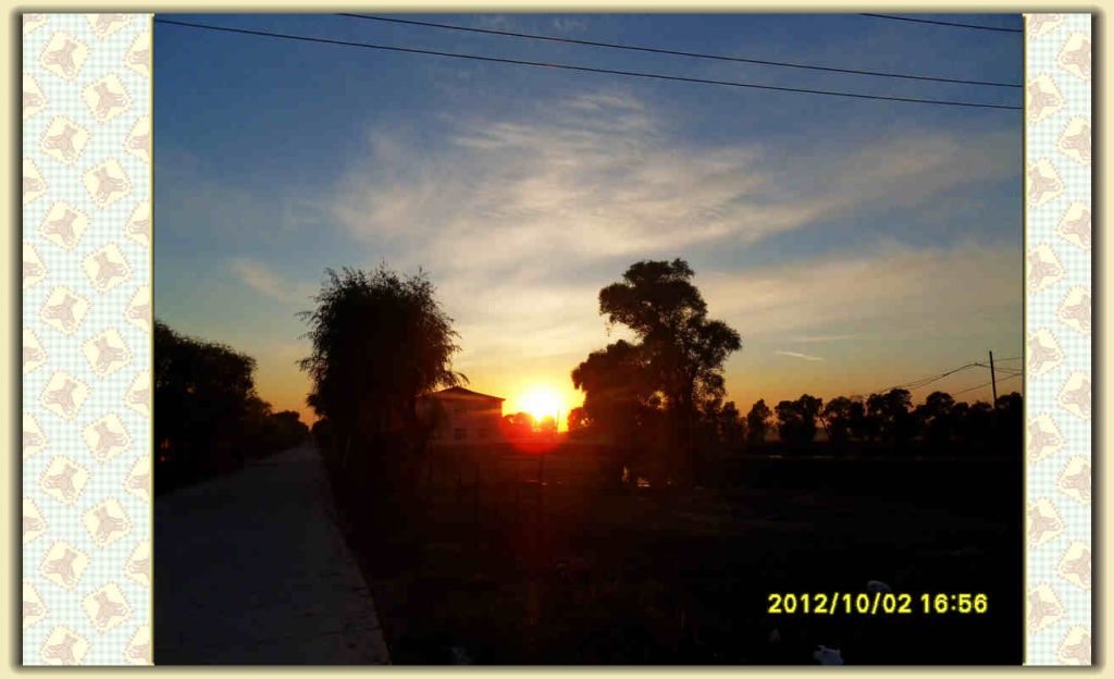 SDC12437.jpg
