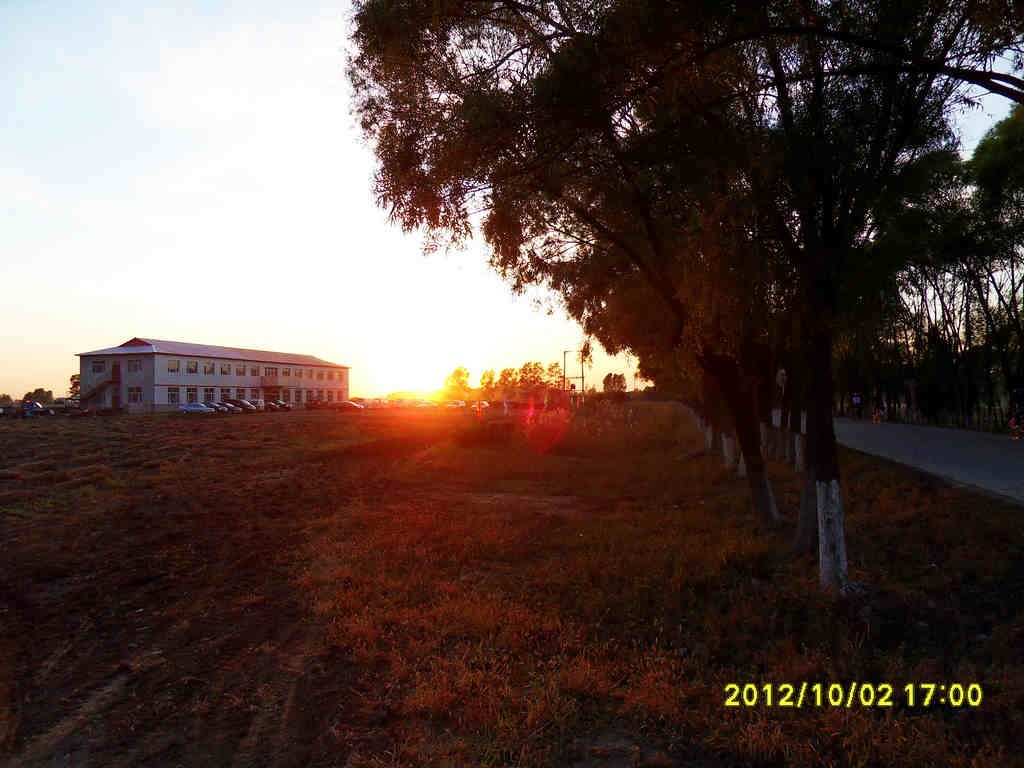SDC12439.jpg
