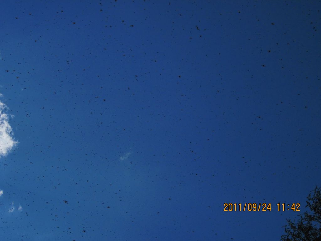 ��Ƭ 135_������С.jpg