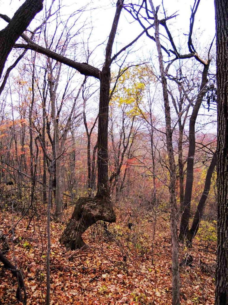 1014ƽС���� 046.jpg