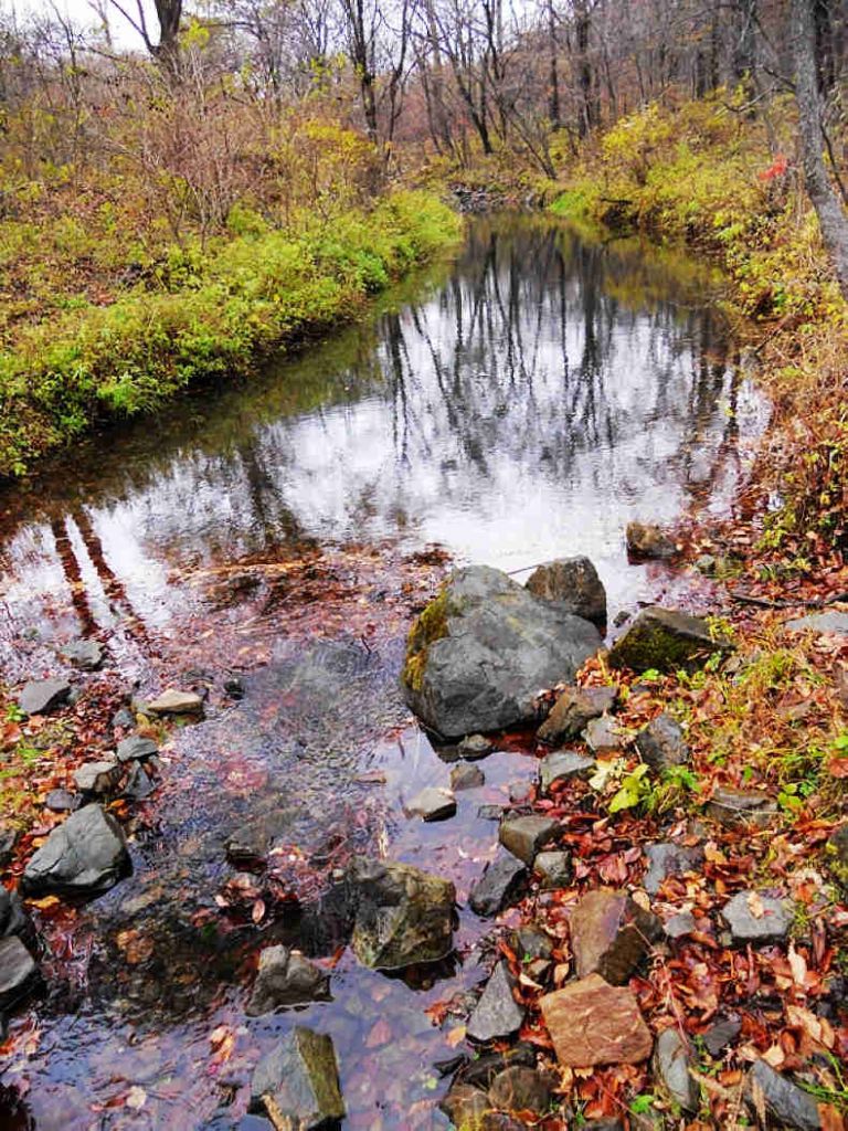 1014ƽС���� 055.jpg