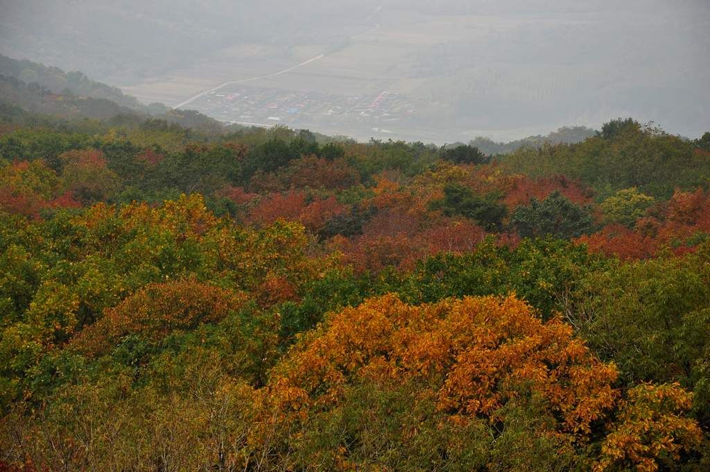 DSC_0252.jpg