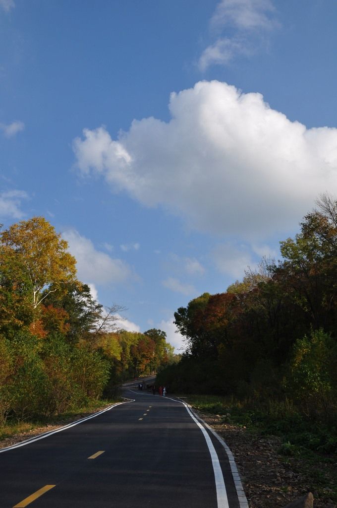 DSC_0527.jpg