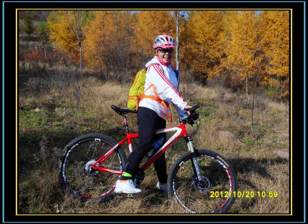 SDC12993.jpg
