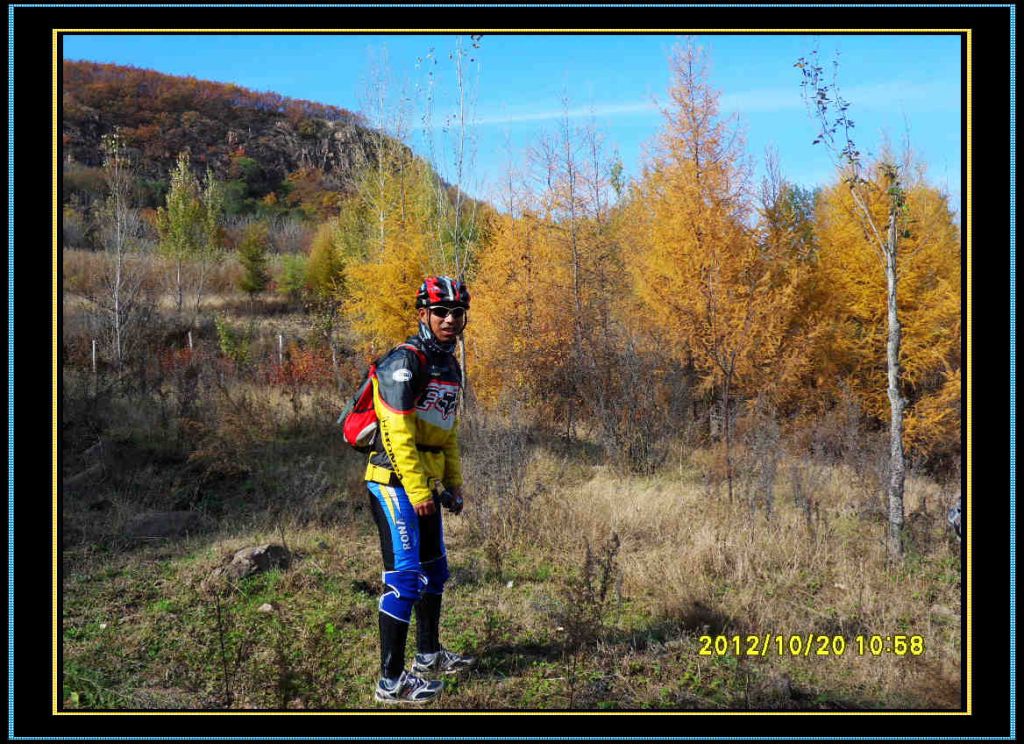 SDC12989.jpg