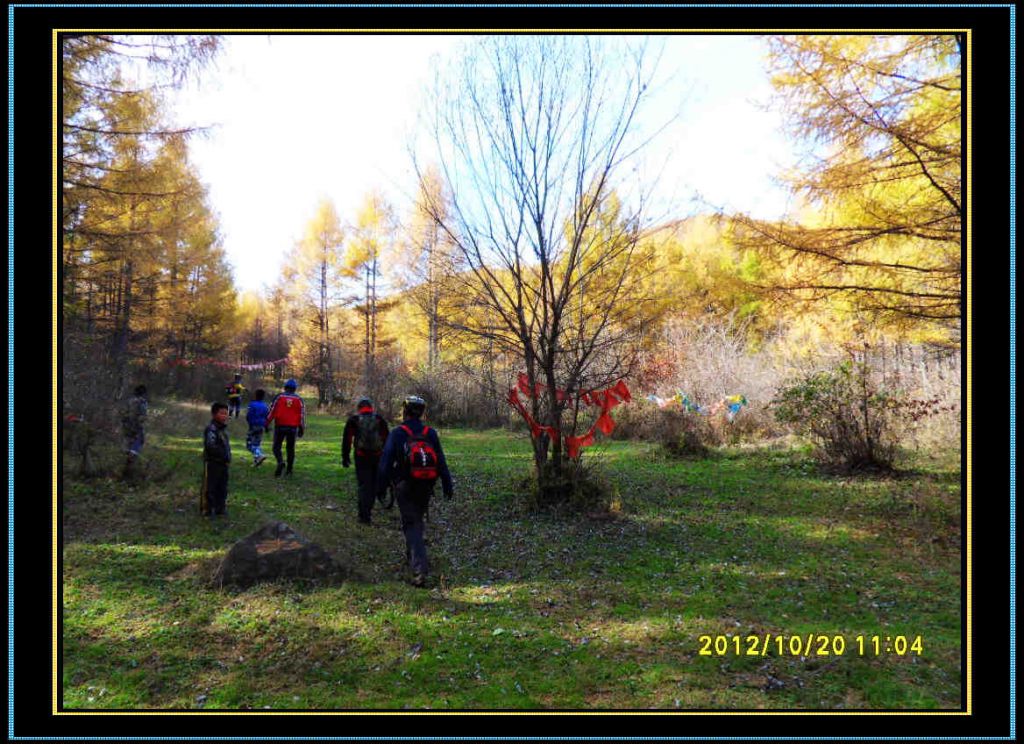 SDC13025.jpg