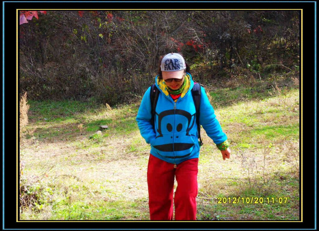 SDC13036.jpg