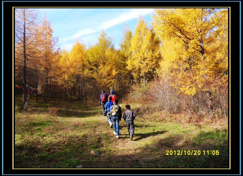 SDC13031.jpg