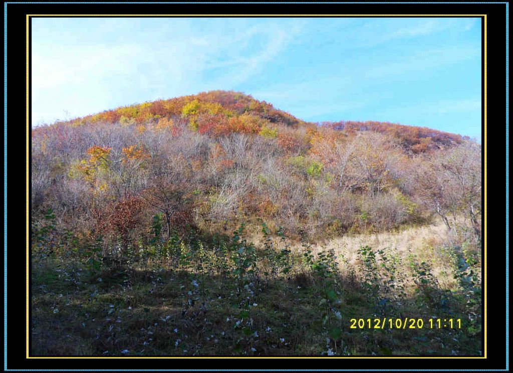 SDC13048.jpg