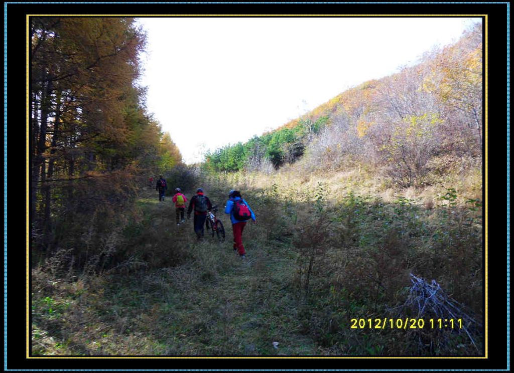 SDC13049.jpg