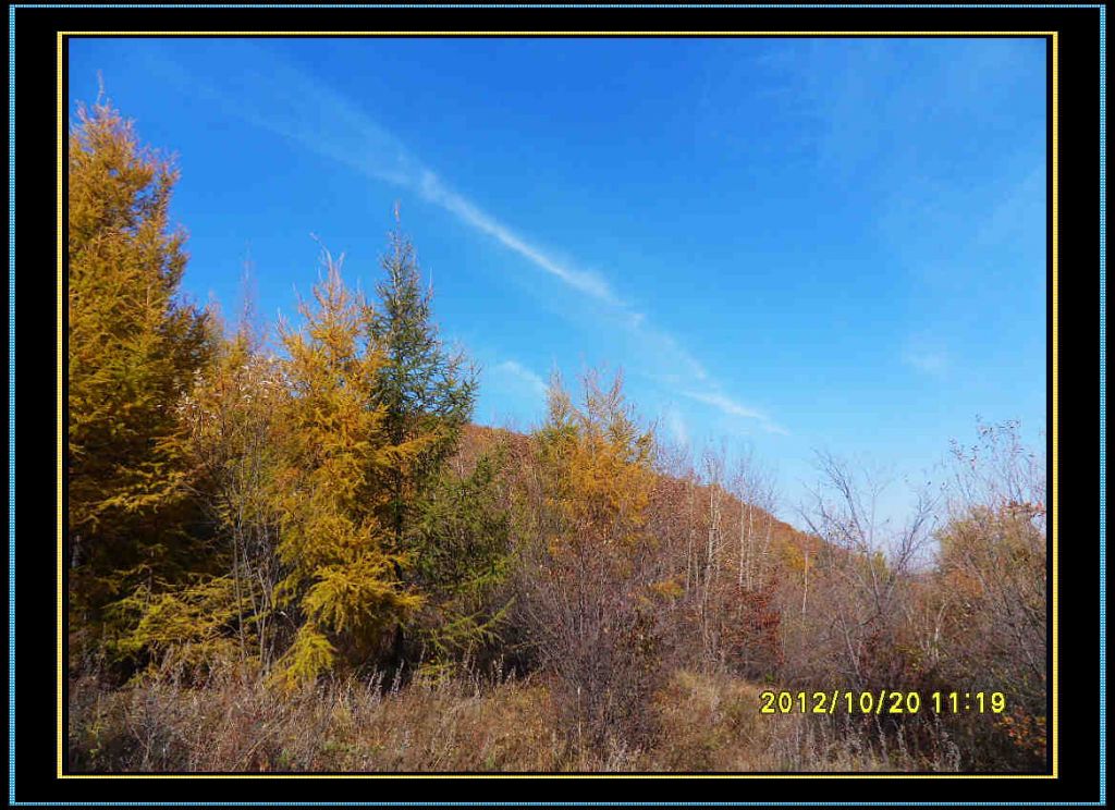 SDC13087.jpg