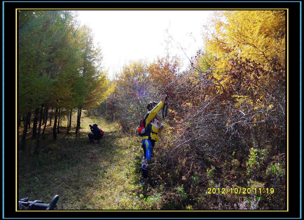 SDC13089.jpg