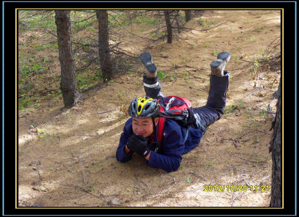 SDC13096.jpg