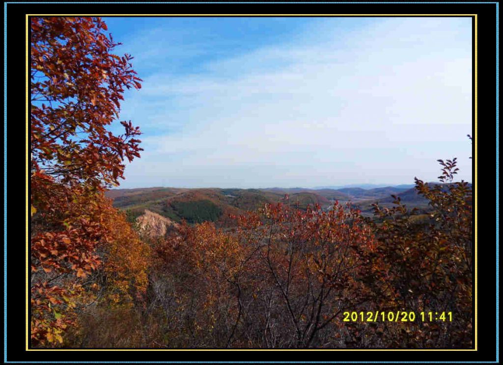 SDC13176.jpg