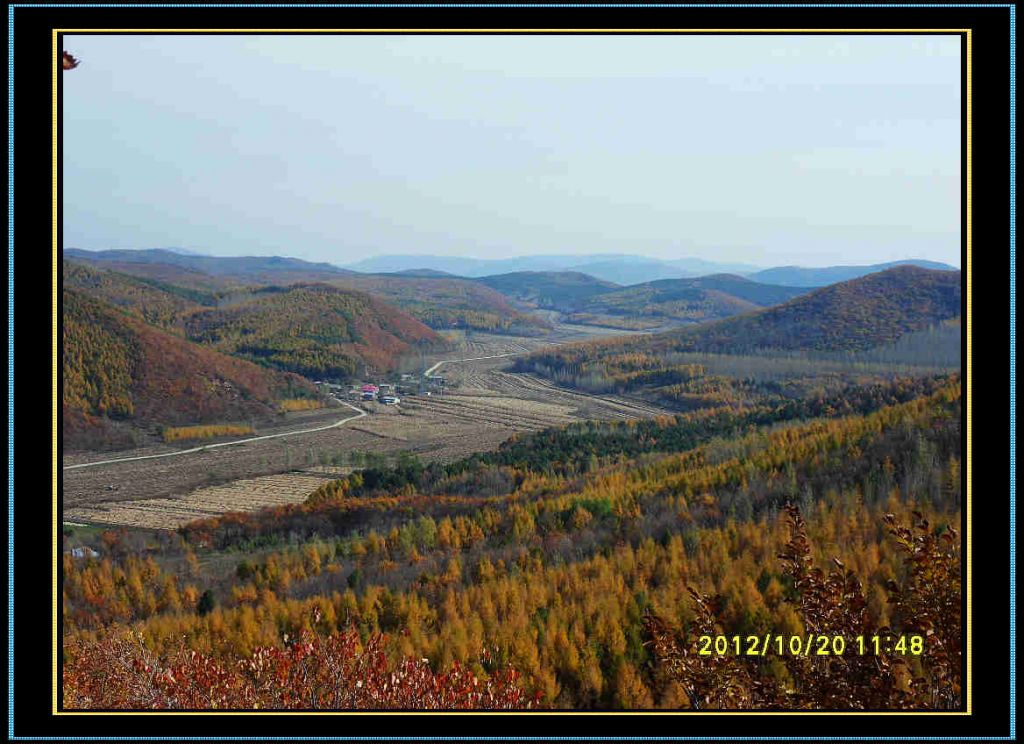 SDC13209.jpg